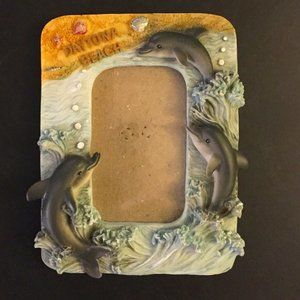 Daytona Beach Dolphin Picture Frame